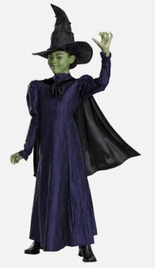 Wicked Elphaba Dress With Cape & Hat Halloween Costume Size Girls 7-8